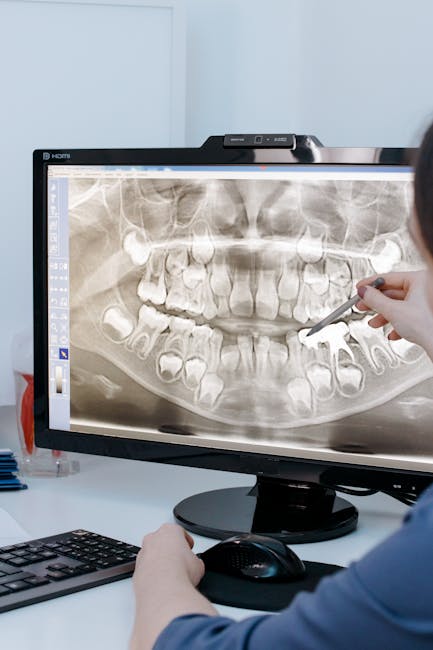 Deep Learning in Veterinary Dental Imaging Analysis: Transforming Diagnostic Precision